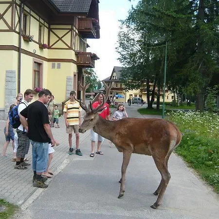 Park Guest house 3*